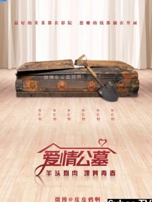 热门短剧